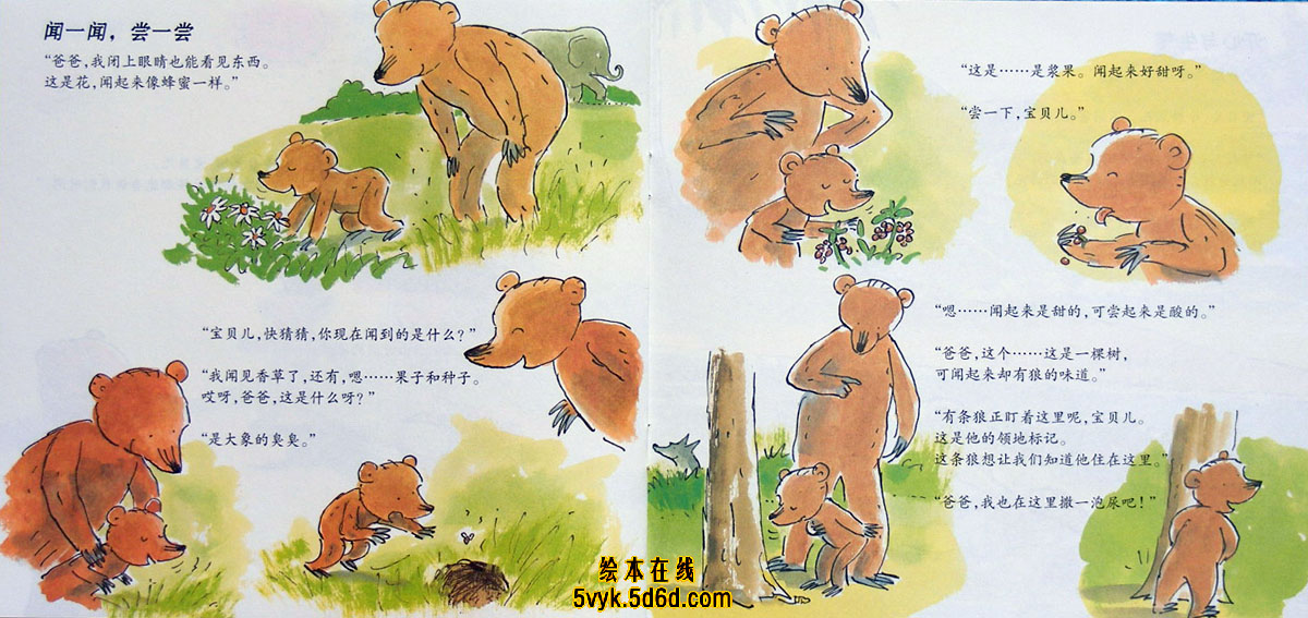 看世界 (10),绘本,绘本故事,绘本阅读,故事书,童书,图画书,课外阅读